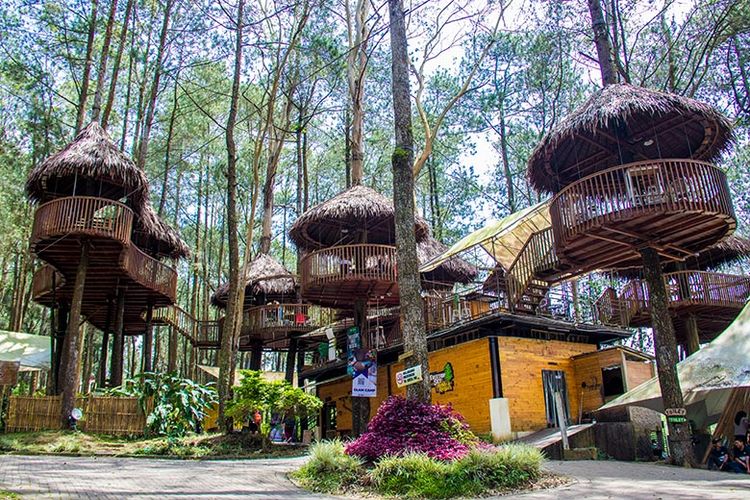 Mengunjungi Kopeng Treetop Adventure Park, Jawa Tengah